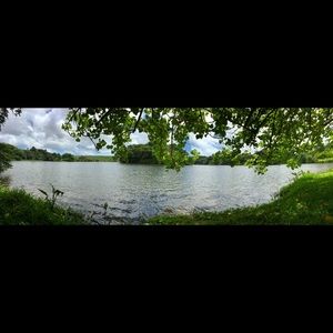 Meet your Posher, Rodrigo